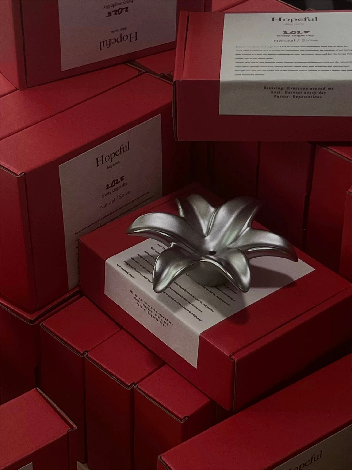 Silver flower-shaped object on a red box with 'Hopeful' branding.