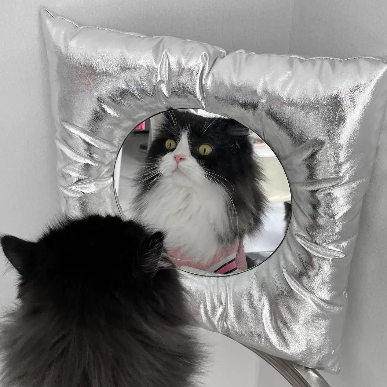 Cat peeking through a round opening in a silver cushion