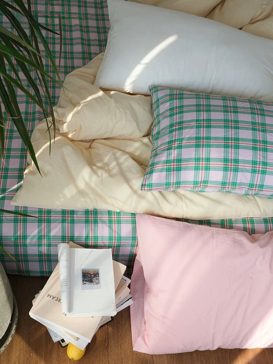 Plaid blanket, pillows, and a plant on a surface